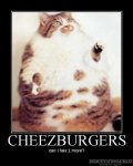 cheezburgers-can-i0-has-one-more.thumbnail.jpg
