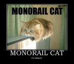 monorail_cat_eufktpyc6.jpg