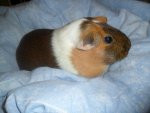 SAM_0659.jpg
