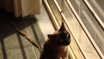 DSC08852.jpg