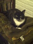 IMG-20110817-00054.jpg