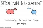 dopamine serotoin.jpg