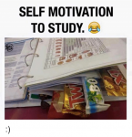 self-motivation-to-study-6379695.png