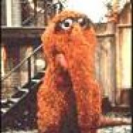 Mr. Snuffleupagus