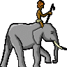elephantgirl