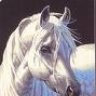 Geronimohorse